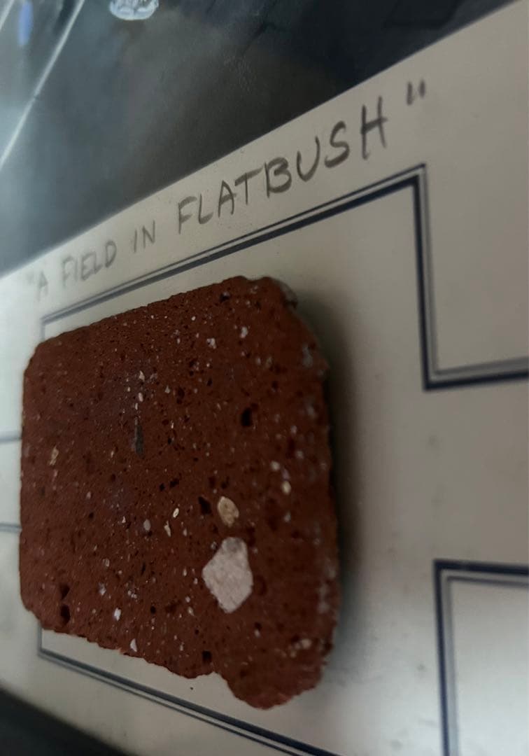 WS制覇！MLB大谷・山本選手の大先輩ブルックリンドジャースエベッツ・フィールド