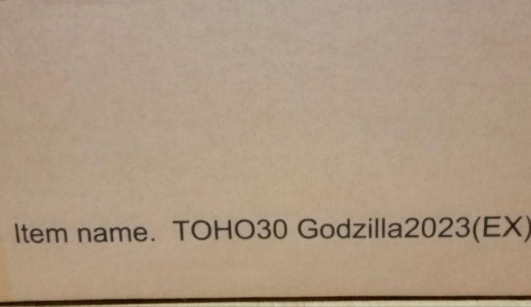【新品未開封】東宝30cmシリーズゴジラ(2023) 少年リック限定版