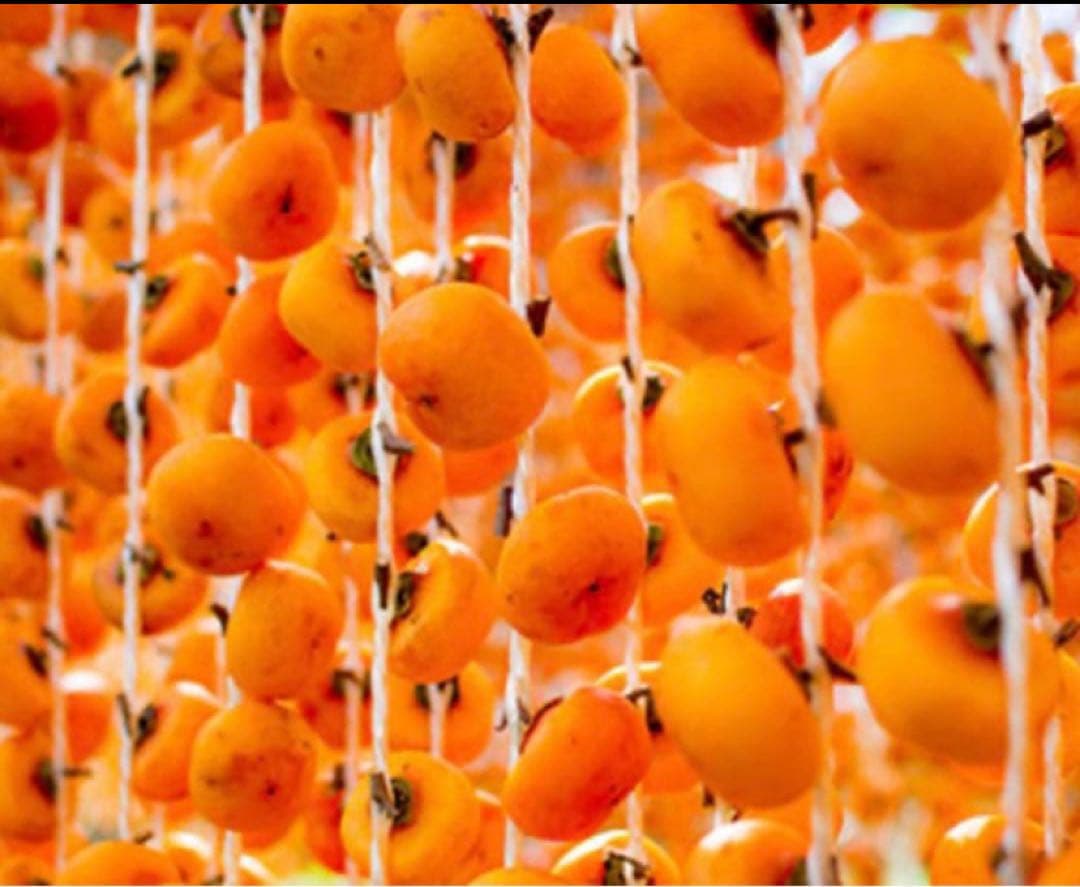 sakura産専用出 山形特産　紅干し柿。蔵王吊るし柿。