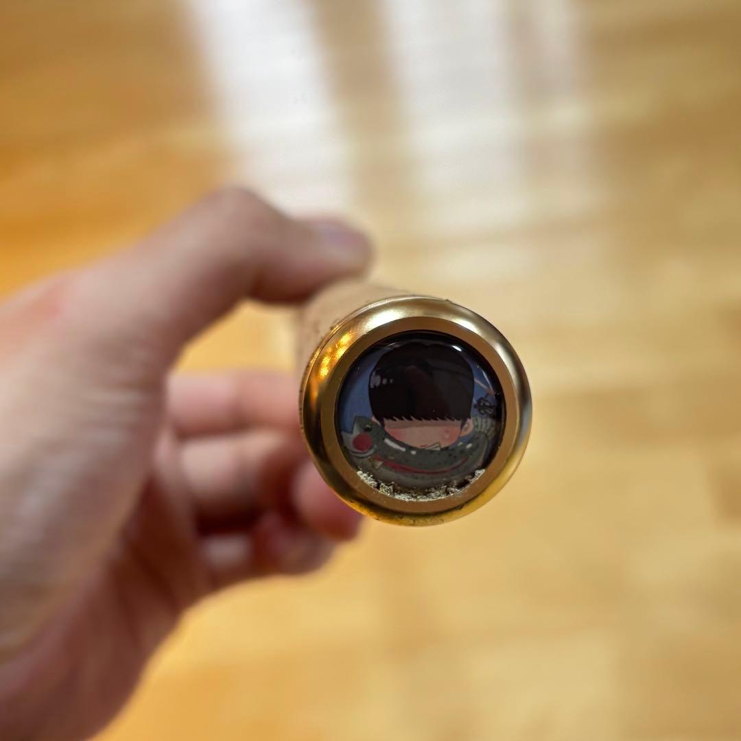 ムカイ　ステップスティック SS-1622L 陰キャスペシャル