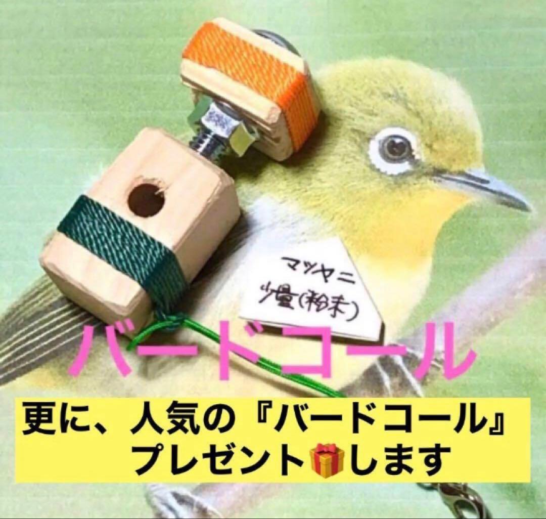 キッズ和太鼓　(太鼓と太鼓台のセット)