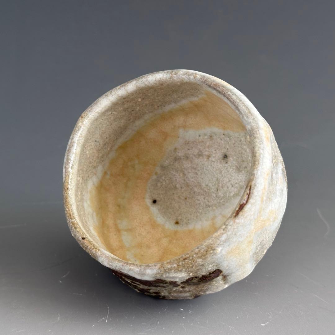 酒器　ぐい呑み　清水保孝　鉄絵　亀遊文　共箱　京焼　父：清水卯一　現代陶芸