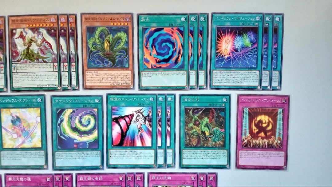 遊戯王 オッドアイズ EM 捕食植物 デッキパーツ 146枚