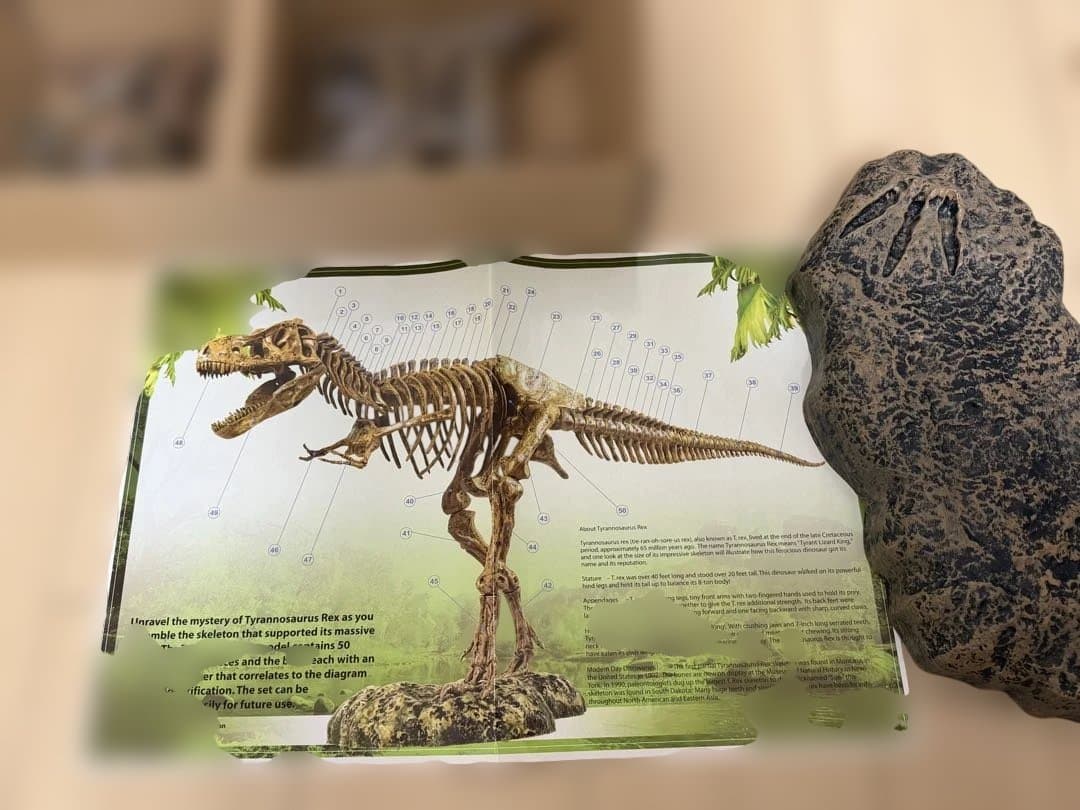 EDU-TOYS エデュトイ 恐竜工作 キット 51ピース ティラノサウルス
