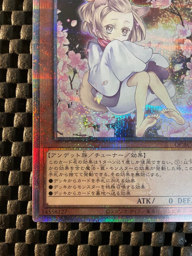 遊戯王 灰流うらら 絵違い 25th クオシク QCAC