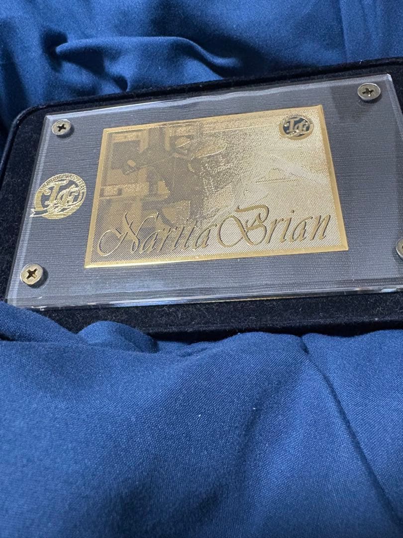 貴重　ナリタブライアン　300枚限定　レア　記念