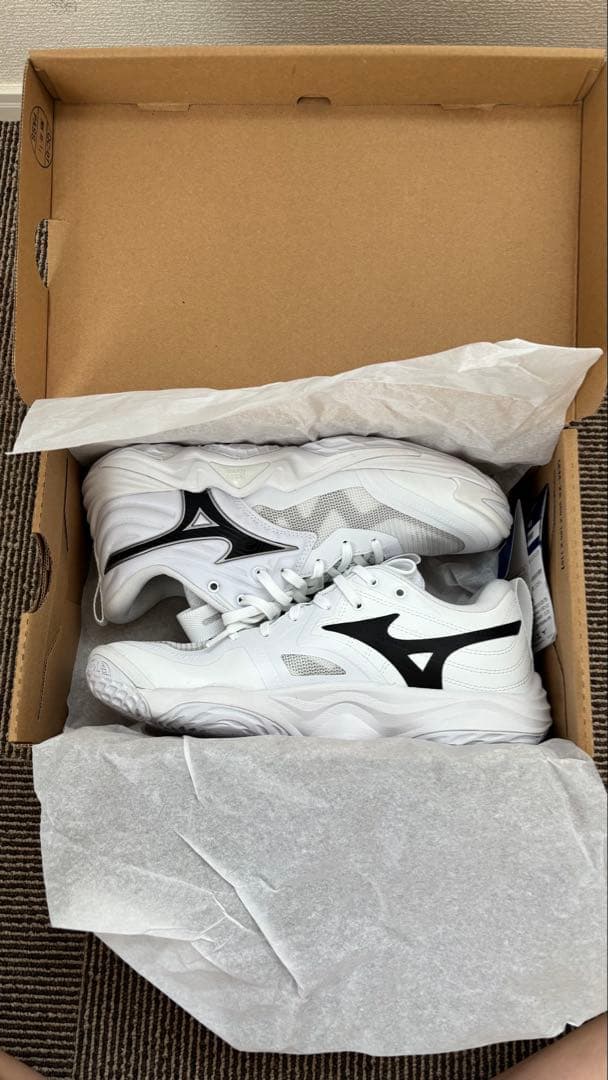 ミズノ　ウエーブモーメンタム エリートV1GA2512 バレーシューズ24センチ