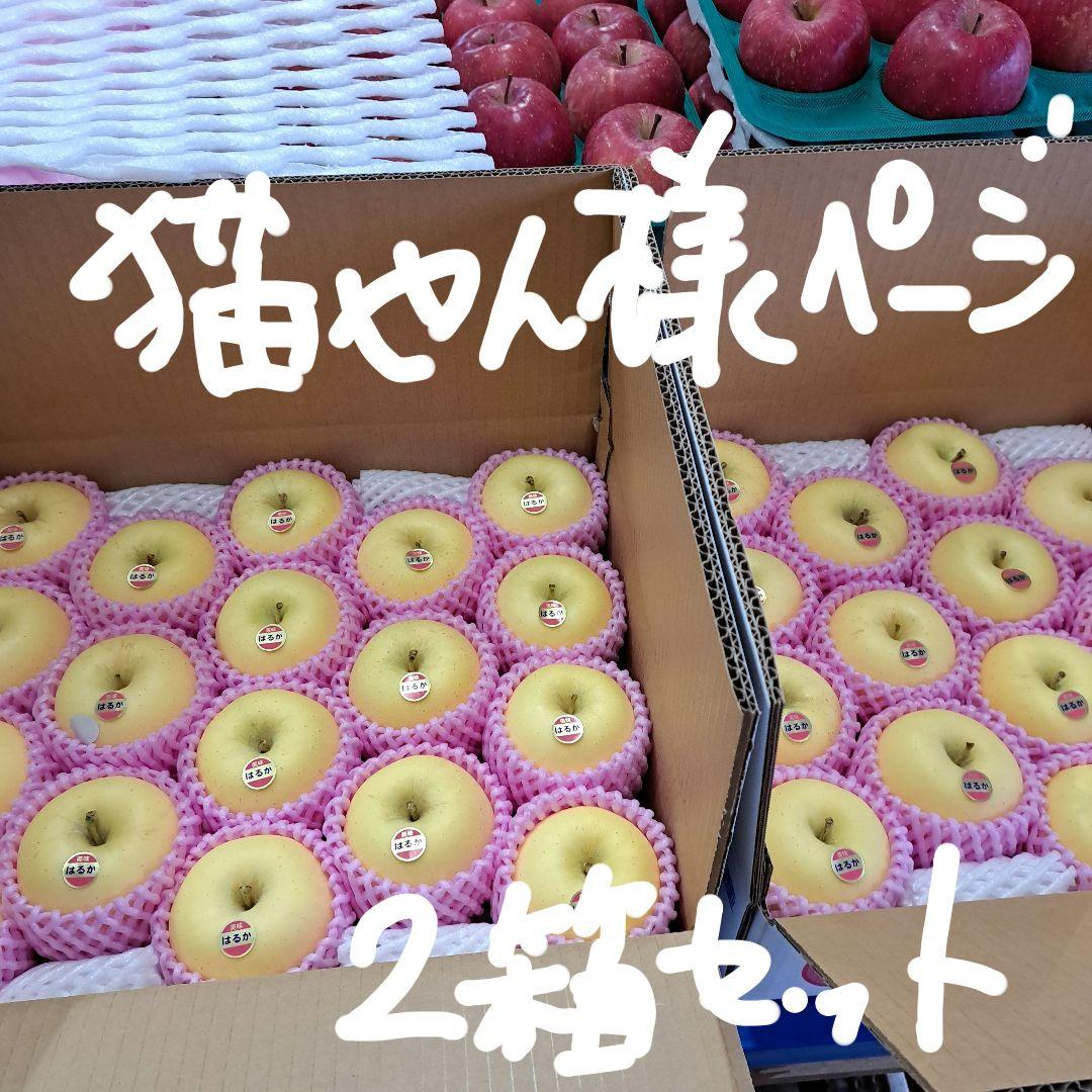 はるかりんご贈答用小玉　5キロ箱 2箱セット