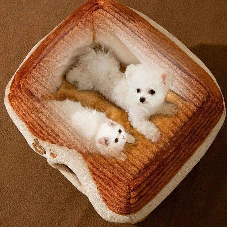 ペットハウス ペットベット Ｓ 犬猫用 犬小屋 小型犬 中型犬 大型犬 ドーム型