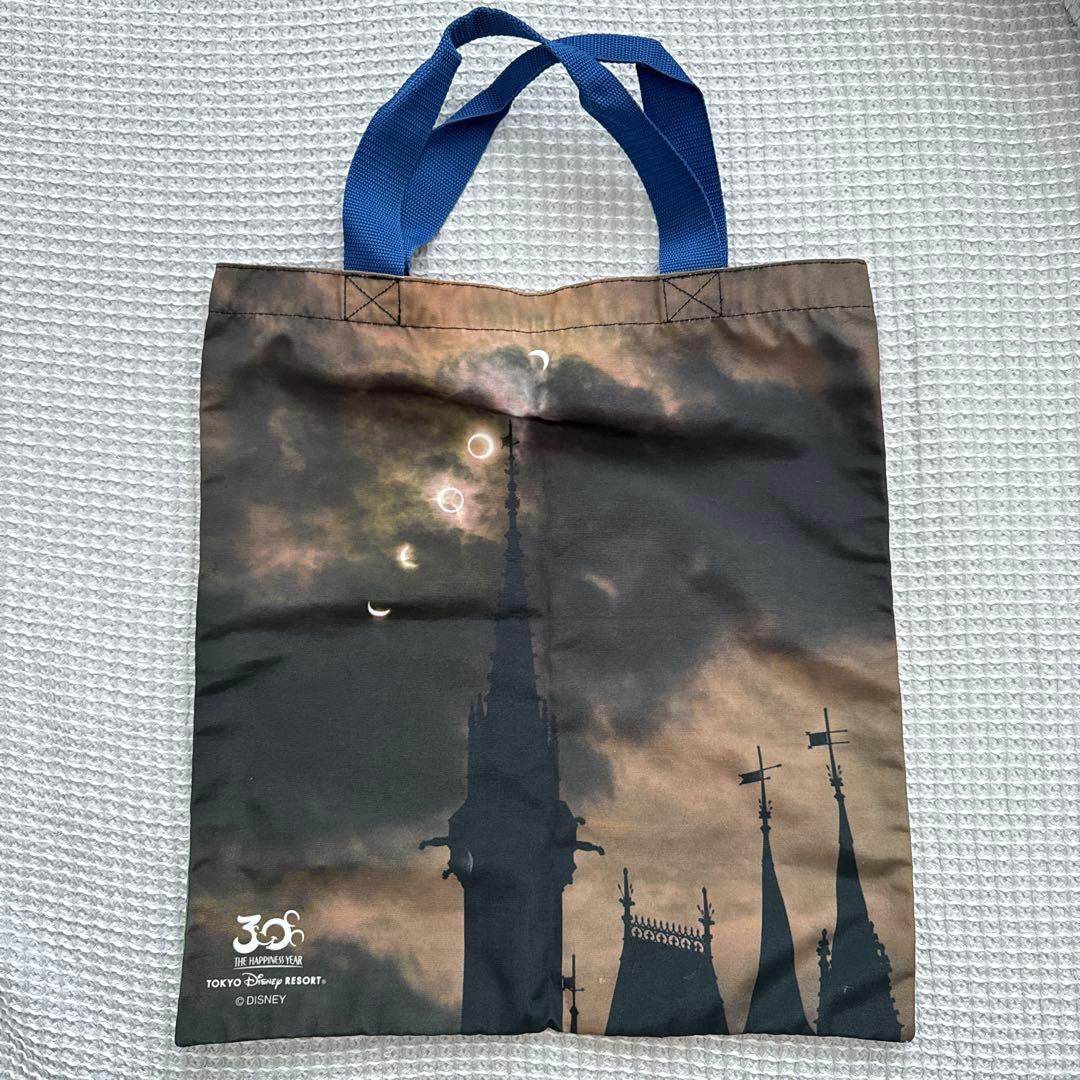 希少 ディズニーリゾート30周年 ミッキーミニー実写トートバッグ