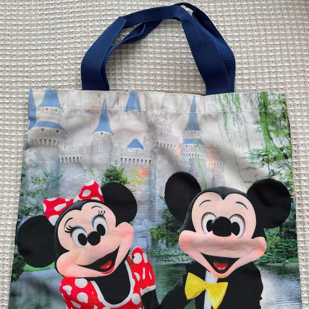 希少 ディズニーリゾート30周年 ミッキーミニー実写トートバッグ
