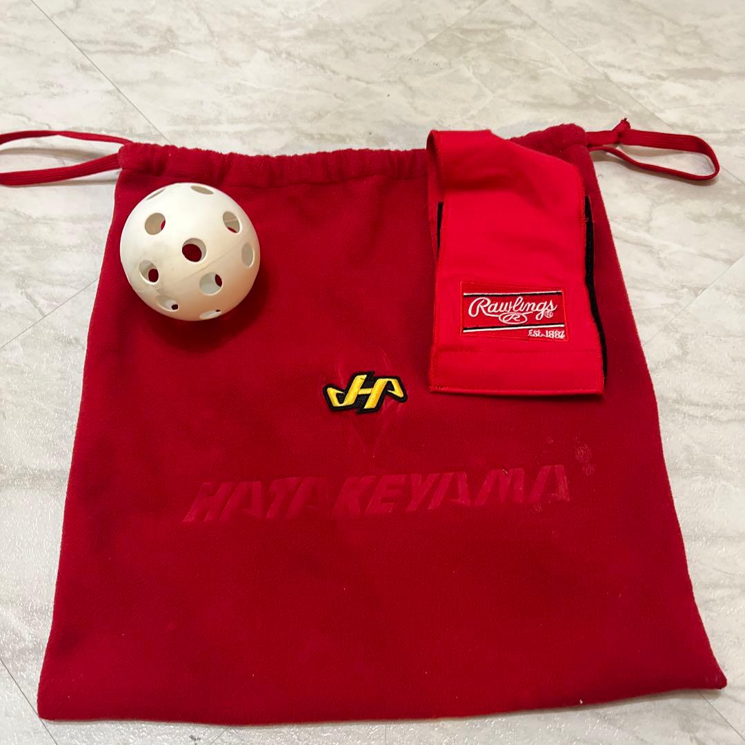 ハタケヤマ 軟式用 キャッチャーミット PRO-288 グローブ レッド