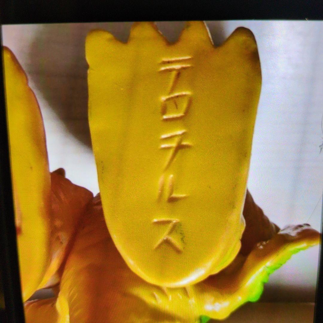 ブルマァク.ソフビ.テロチルス。