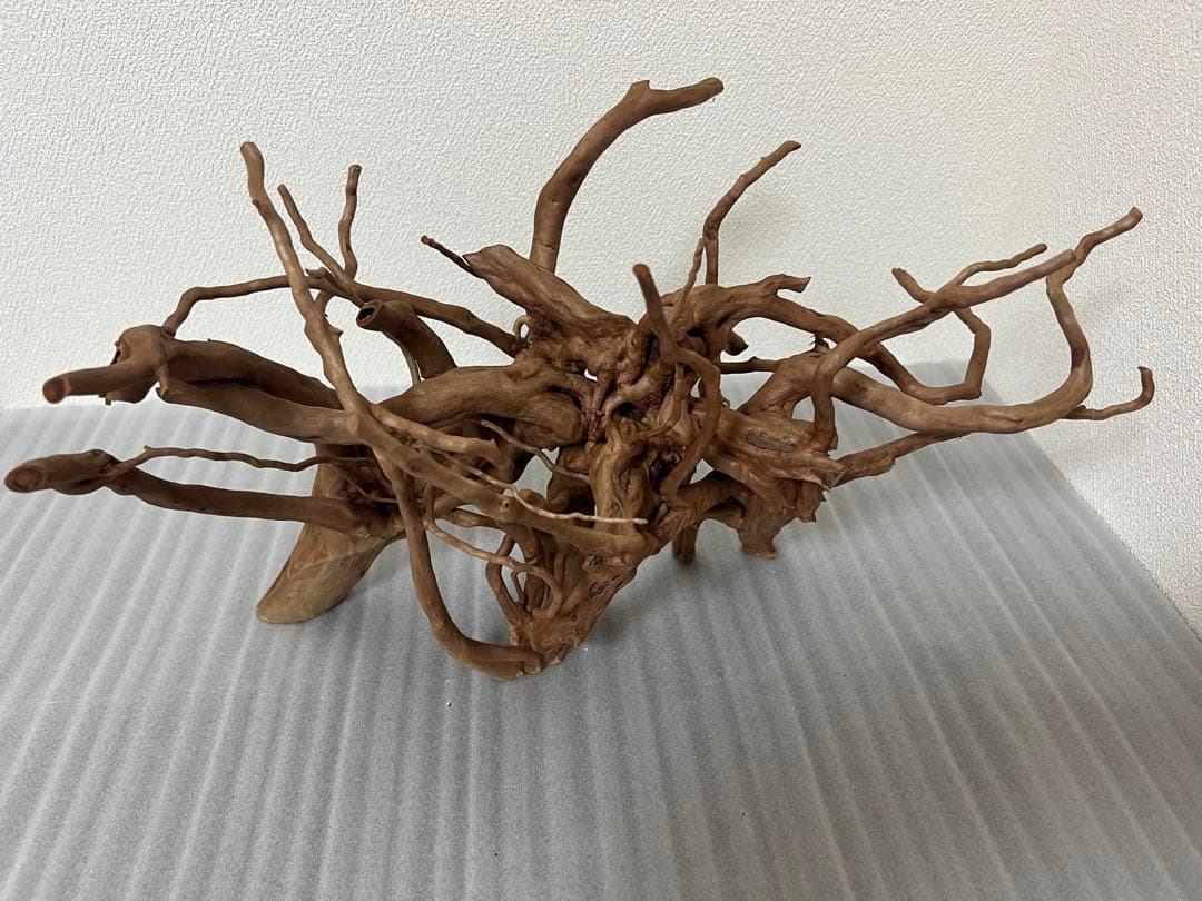 32701 ブランチウッド　流木　アクアリウム