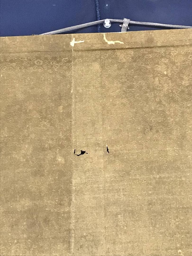 真作/川端玉章/松本楓湖/花鳥人物図/菊/狸図/美人図/名家伝来/AE-128