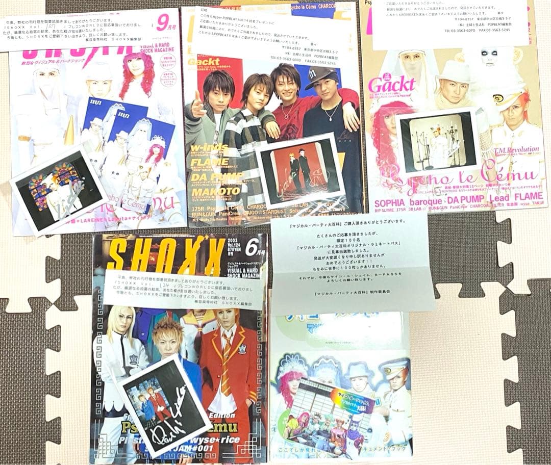 当選品】Lida AYA DAISHIサイン入りポラ他　サイコルシェイム