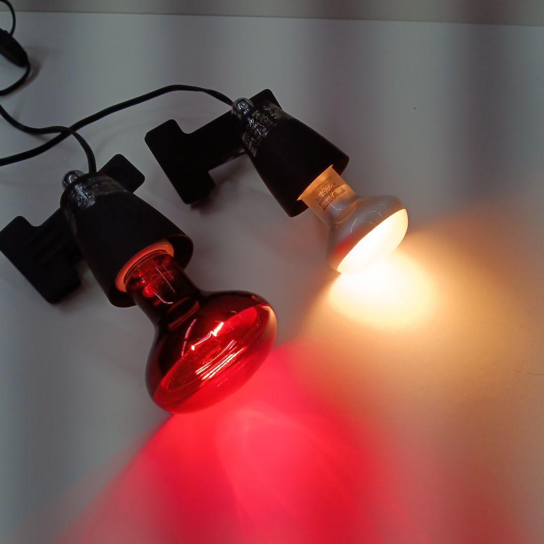 中古爬虫類三晃商会ケージ60ｃｍセット