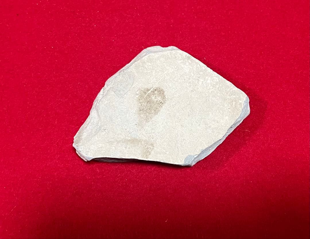 骨董品 年代物 陶片 箱付き 古道具 コレクション