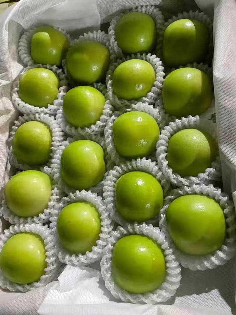534.新鮮台湾ナツメ　台湾青棗 约2.5kg前後(１８~24玉)玉数お任せ