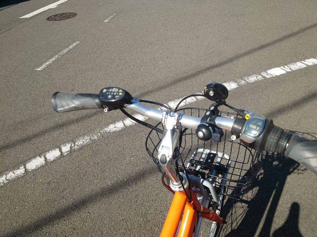 (引取り又はお届けご相談)ルイガノMVE 20インチ