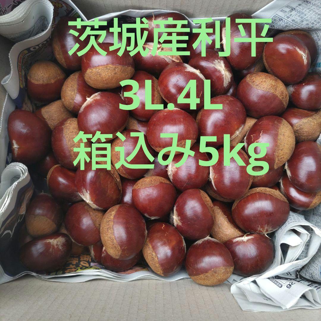 茨城産 利平栗 3L、4L 箱込み5kg