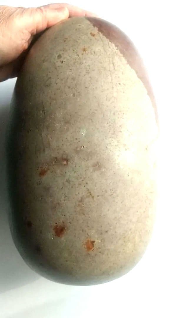 特大 希少価値‼️シバリンガム