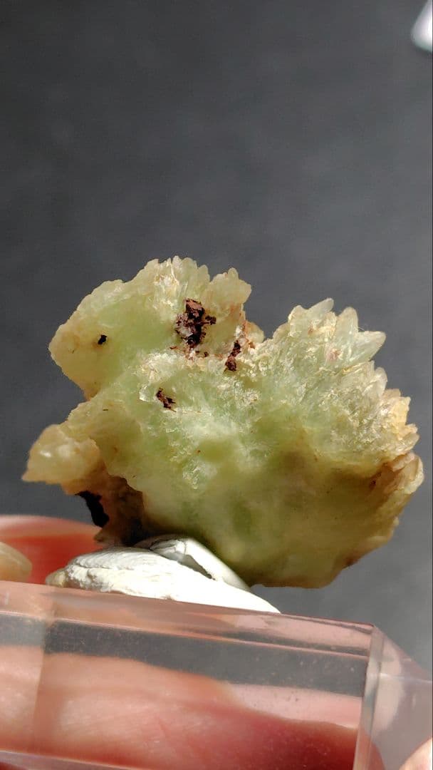 フォスフォフィライト　ボリビア産　1197