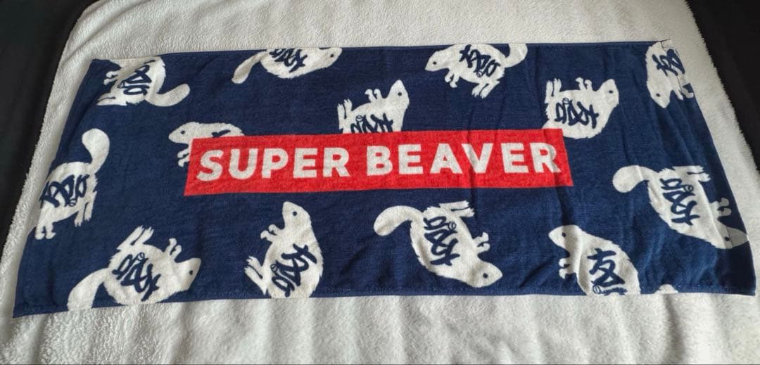 SUPER BEAVER 夏のレジャーセットなどグッズまとめ