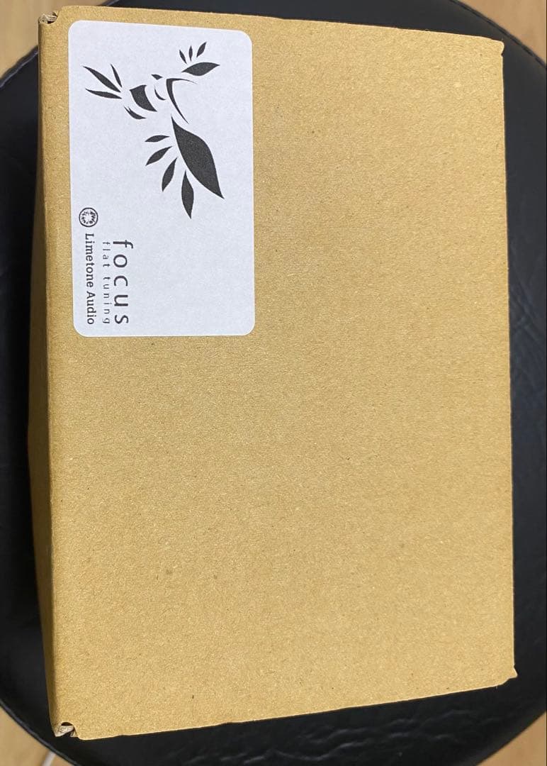 ギター Focus flat tuning Limetone audio