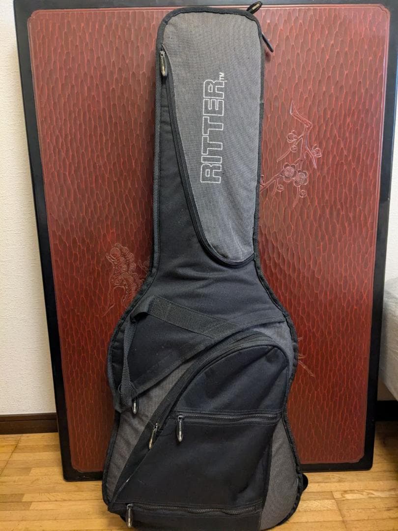 Aria Pro II エレキギター と RITTER ギターケース