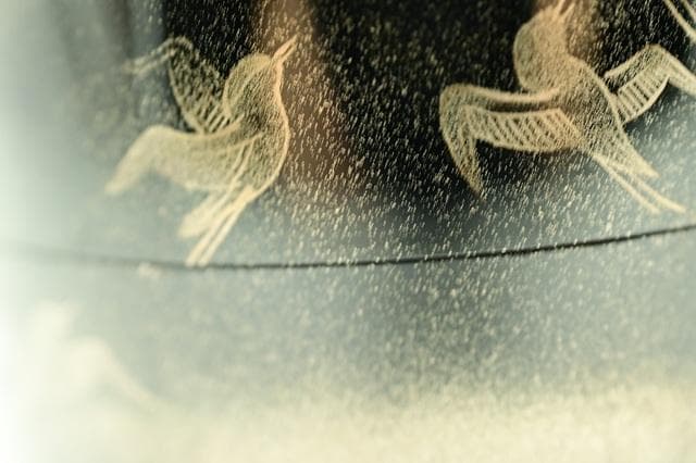 塗師　林勝　黒　大棗　墨絵　波千鳥　内銀平目　茶道具　二重箱　美品