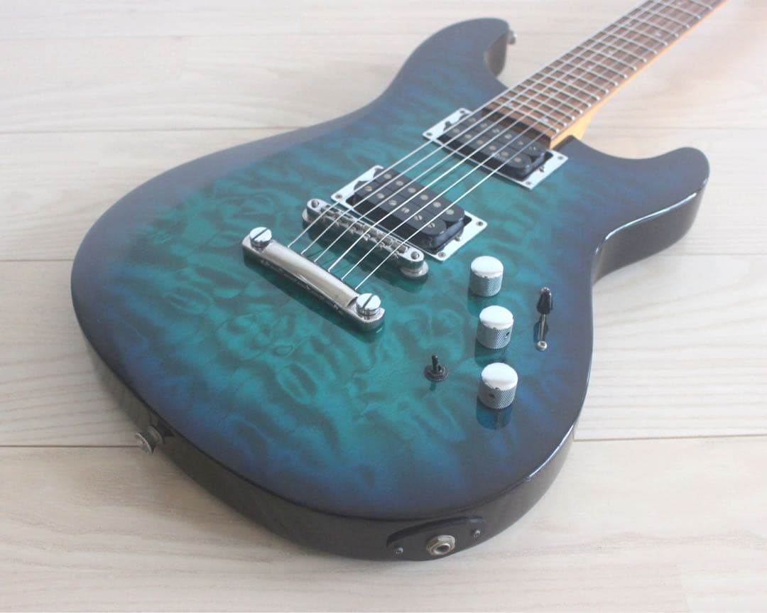 Fernandes フェルナンデス APG-65S サスティナー搭載