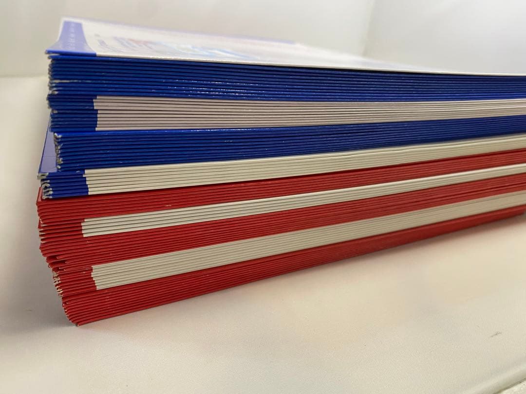 レターパックライト レターパックプラス 計80枚セット