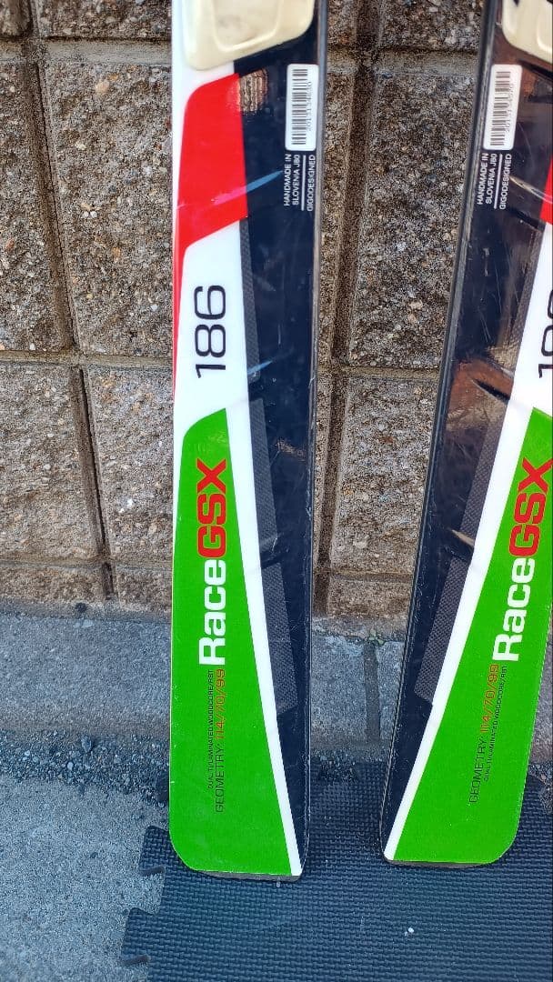 Elan Amphibio GSX Fusion 186cm GS スキー