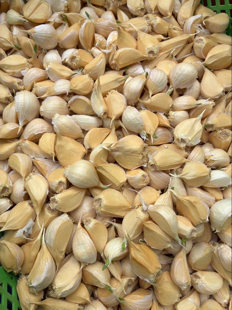 【激安】青森県産にんにく MIXバラ20kg福地ホワイト 訳あり品　お買い得