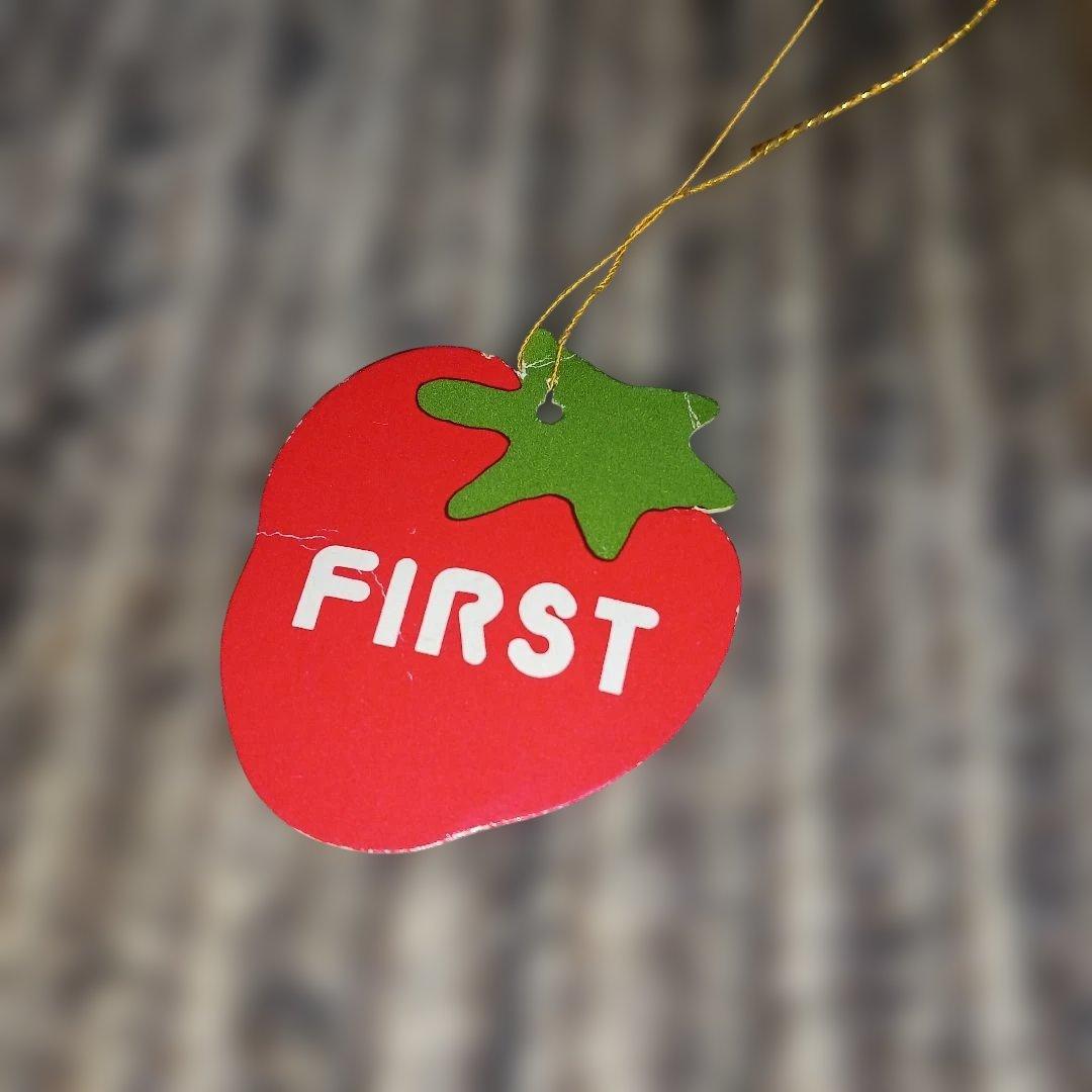 レトロ　ファースト社　仔犬の花ちゃん　ぬいぐるみ　犬　イヌ