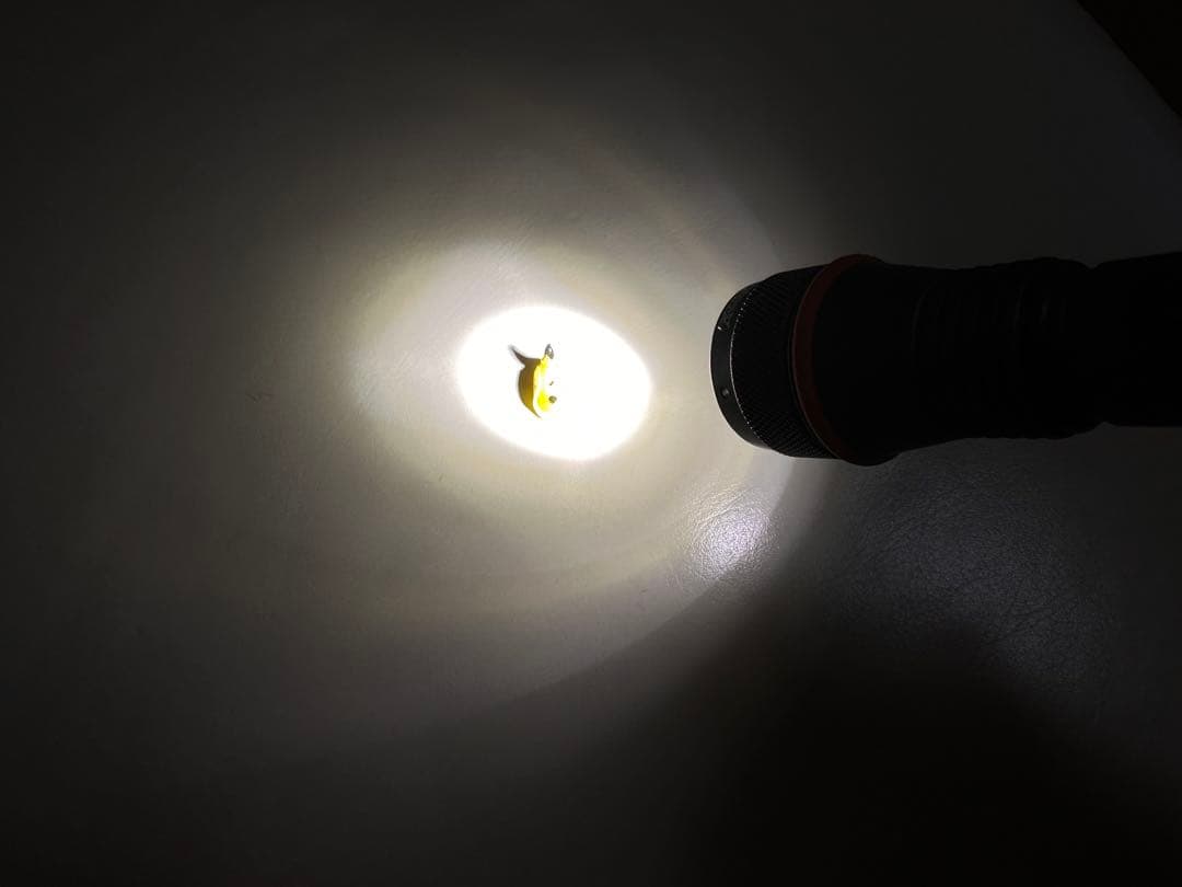 INON LE700-S ダイビングライト ＋ ライトケース付き