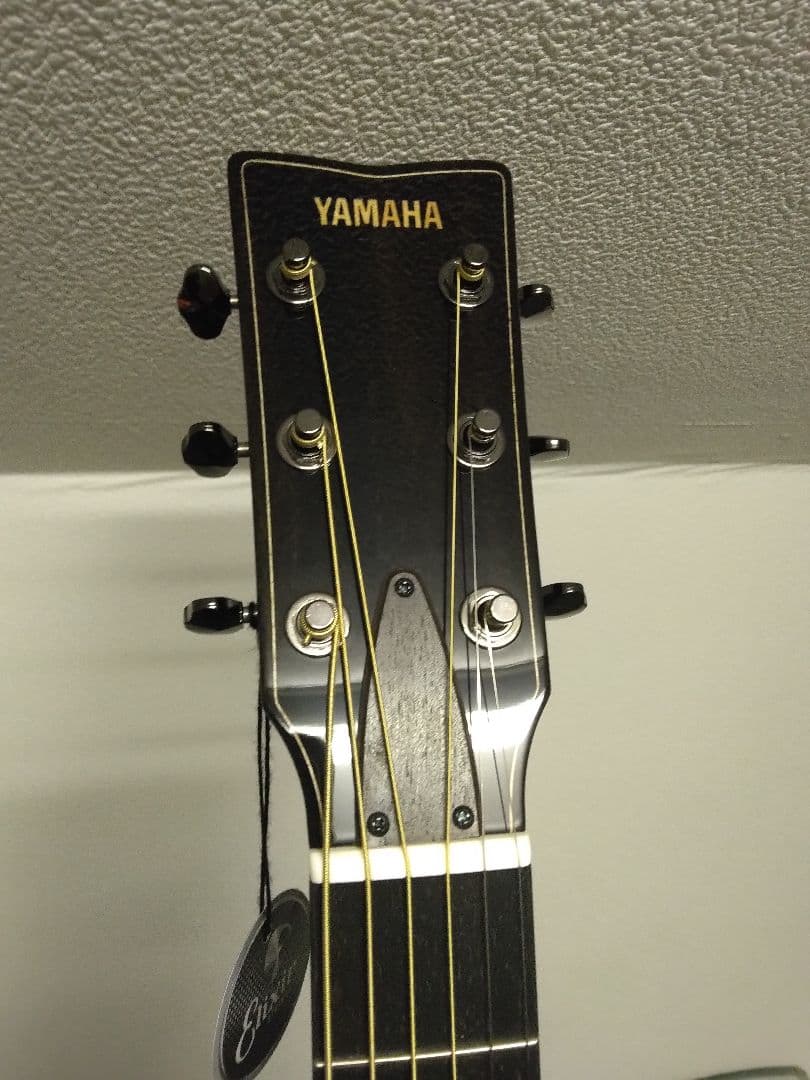 アコースティックギター ヤマハFS9M