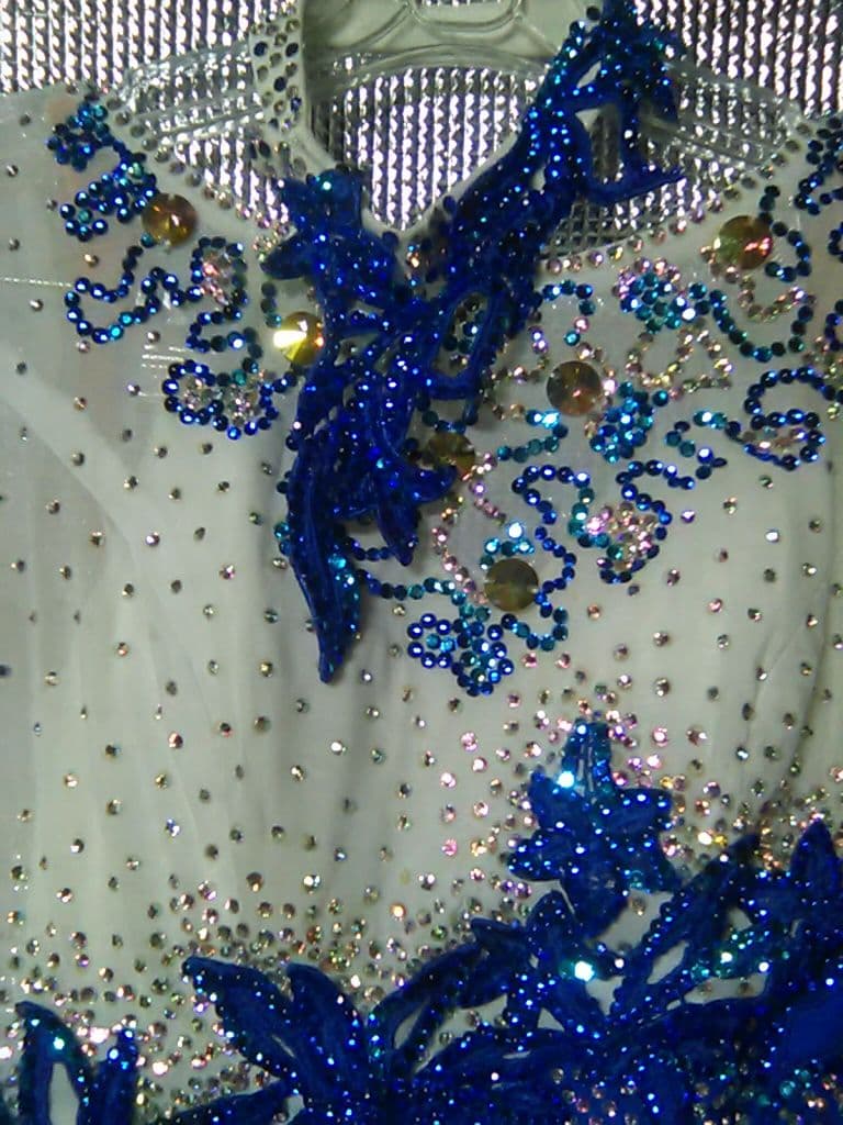 社交ダンス用ドレス 白樺ドレス Mサイズ 衣裳バック有り