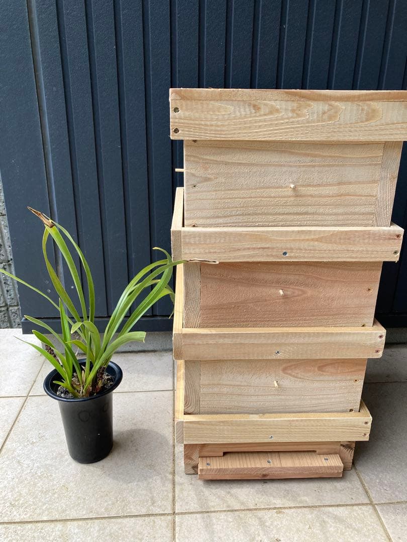 日本ミツバチ用巣箱　重箱式　キンリョウヘンおまけ