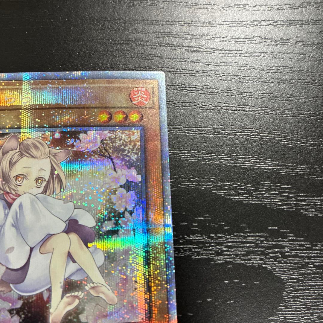 遊戯王　灰流うらら　絵違い プリズマティックシークレットレア1枚