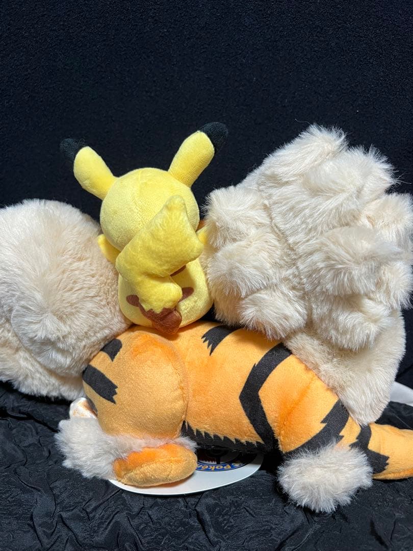 新品　ぬいぐるみ　ポケモンセンターオキナワ