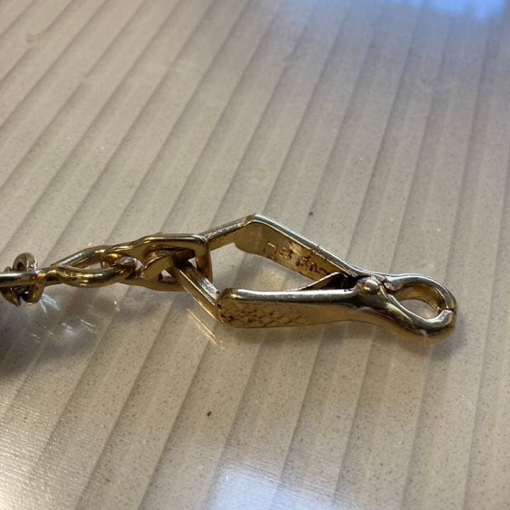 正規品 美品 ルイヴィトン LV LOUIS VUITTON 犬 リード