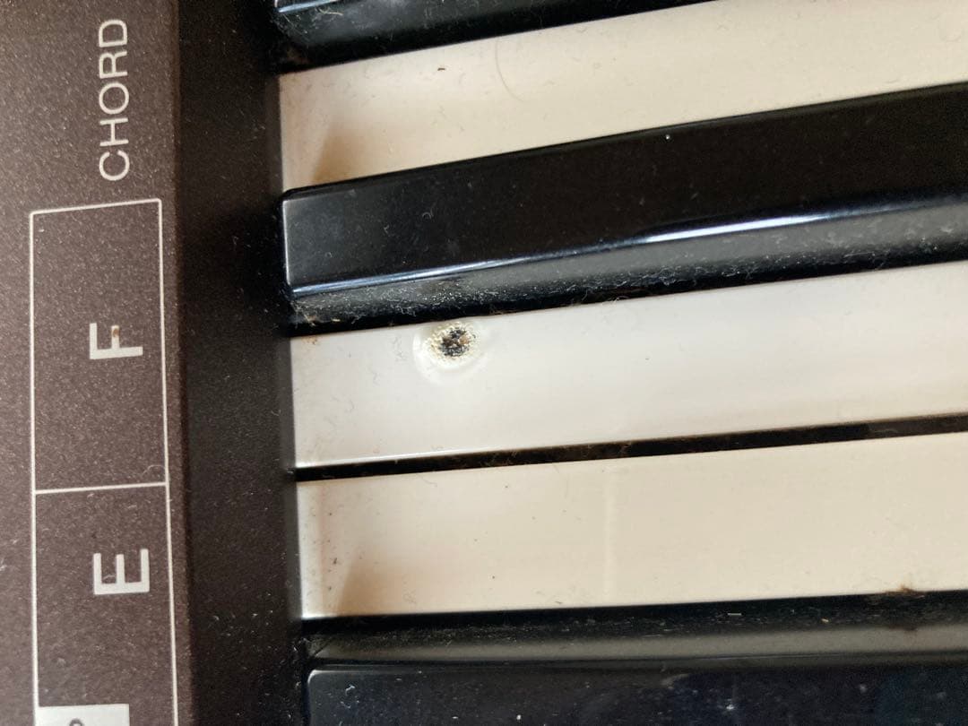 Casiotone CT-310 動作品