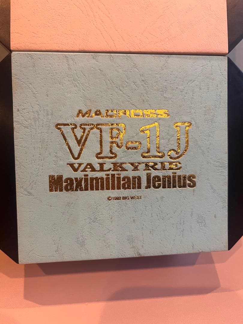 マクロス20th ミリア・ファリーナ・ジーナス機　マクシミリアン・ジーナス機