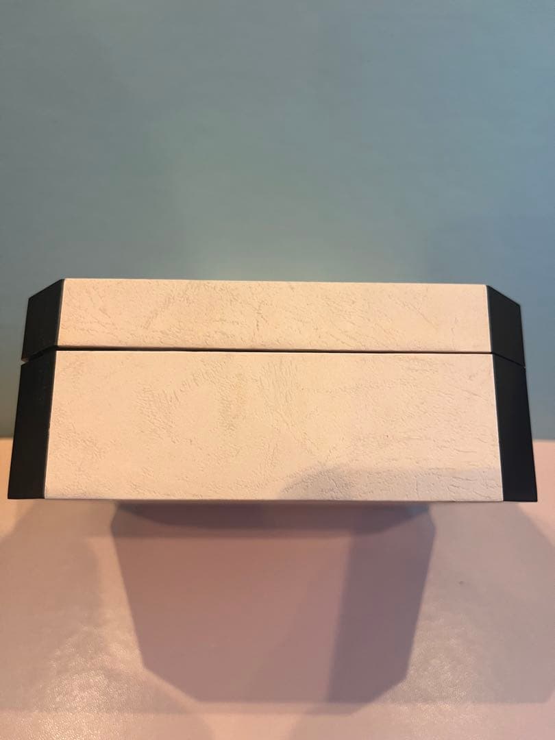 マクロス20th ミリア・ファリーナ・ジーナス機　マクシミリアン・ジーナス機