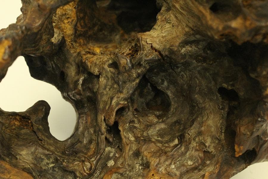 自然木 根木 奇木 置物(A917)