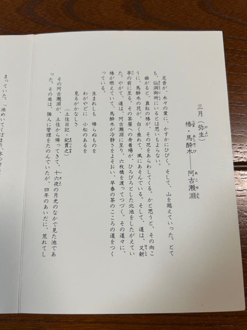 128桑野むつ子 京都御所の花十二ヶ月【3月椿・馬酔木】抹茶椀＆和陶皿 しおり付