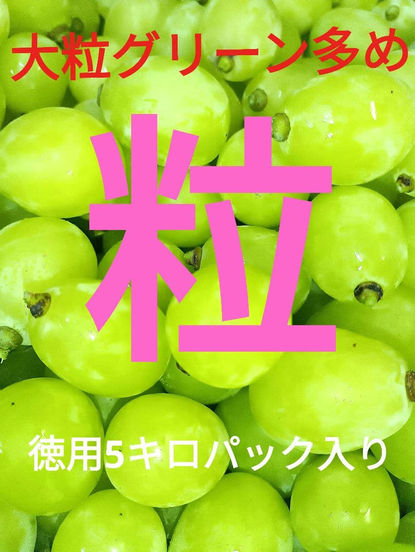 シャインマスカット大粒グリーン多め入り5キロの粒バック入りになります。