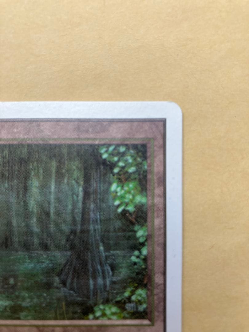 MTG Bayou unlimited 英語版 美品（ニアミント）